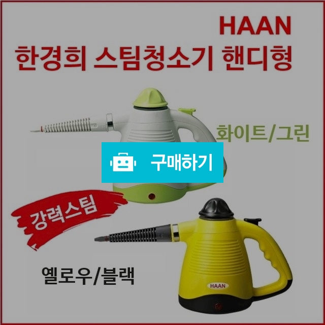 [HAAN] 한경희스팀청소기 강력살균 핸디스팀청소기 [찌든때/창문/욕실청소/차량청소]HS-101 / 1st스토어 / 디비디비 / 구매하기 / 특가할인