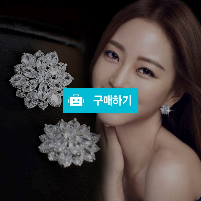 눈꽃 귀걸이 / 토실토실패션 / 디비디비 / 구매하기 / 특가할인