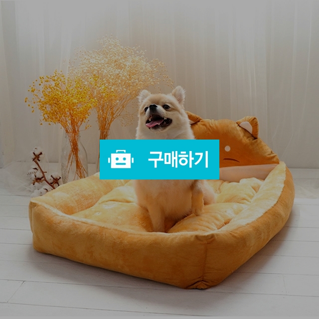 마이독 시바 강아지 고양이 방석 아늑한 쿠션 마약방석 애견 집 매트 / 마이독님의 스토어 / 디비디비 / 구매하기 / 특가할인