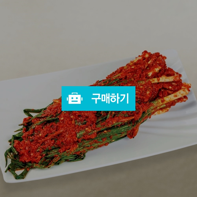 선화동 매운김치 파김치 500g 매운음식추천 맛있게매운김치 / 미미의밥상 / 디비디비 / 구매하기 / 특가할인