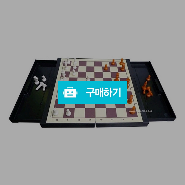 명인 교본포함 접이식 미니 자석 체스 M-050 / 설래임 / 디비디비 / 구매하기 / 특가할인