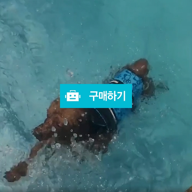 물놀이 수영 여름용품, 14,900원, 99무역 [디비디비] 개인싸 개패션... 애견 구명조끼 소형견 중형견 대형견 반려견 물놀이 수영 여름용품 | 14,900원