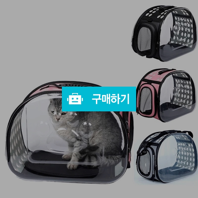 고양이 캡슐 어깨가방 3색 / 나띠쭈띠끄의 스토어 / 디비디비 / 구매하기 / 특가할인