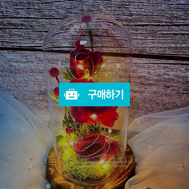 라비앙로즈 빨간장미 무드등 인테리어 소품 집들이 선물 꽃 장미  / 인생꽃같다 / 디비디비 / 구매하기 / 특가할인