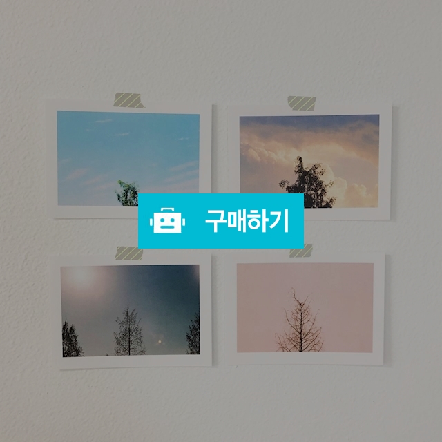 필름사진으로 찍은 하늘과 나무 엽서 <항상그곳에> / kimeungee님의 스토어 / 디비디비 / 구매하기 / 특가할인