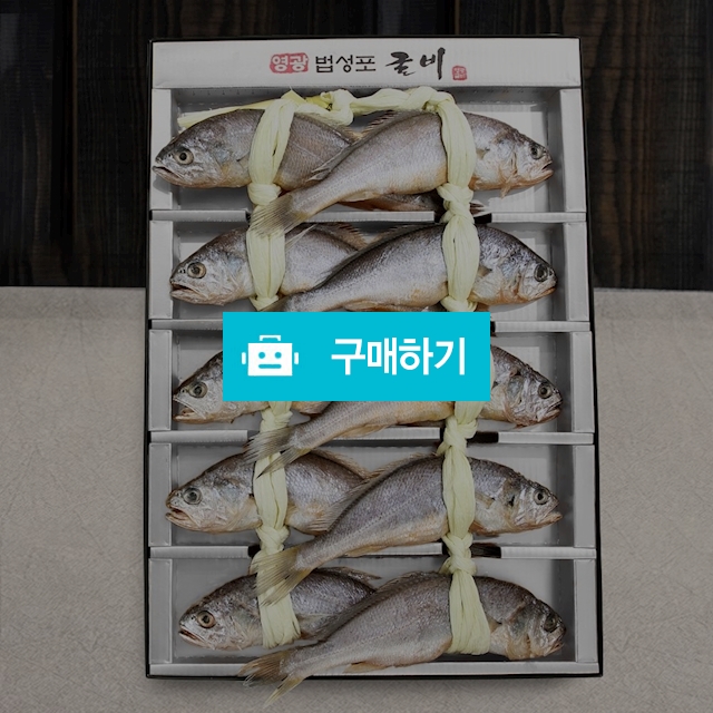 [산지직송] 법성포 영광굴비 10미 실속/선물세트 / 전남영광 해영수산 / 디비디비 / 구매하기 / 특가할인