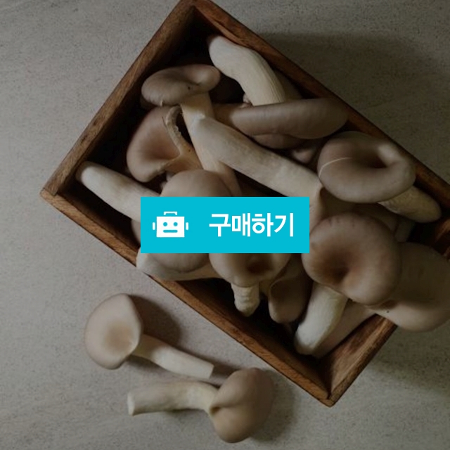 무농약 느타리버섯 1kg / 버섯을키우다 / 디비디비 / 구매하기 / 특가할인