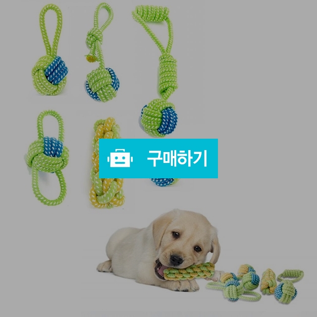 강아지 실타래 이갈이 장난감 치발기 / 포빅스토어 / 디비디비 / 구매하기 / 특가할인
