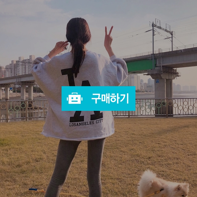 엘에이 박스티 / 현퍼플 / 디비디비 / 구매하기 / 특가할인