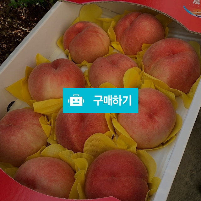 딱딱한 새콤달콤 복숭아(4.5kg) - 무배🤭 / 딱봉이님의 스토어 / 디비디비 / 구매하기 / 특가할인