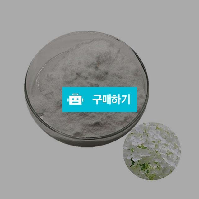 수국잎열수추출분말 100g 샘플 / 엔트레이드코리아님의 스토어 / 디비디비 / 구매하기 / 특가할인