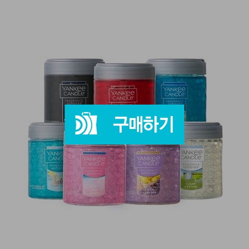 [즉시발송] 양키캔들 양키캔들 스피어스(차량용) 기프티콘 / 올콘 / 디비디비 / 구매하기 / 특가할인