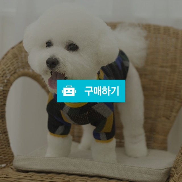 카인드 강아지 니트 _ 블랙 / 퍼피온님의 스토어 / 디비디비 / 구매하기 / 특가할인