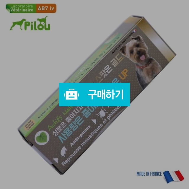 필루 스팟온골드 외부해충방지 소형견 1ml / MARKET814 / 디비디비 / 구매하기 / 특가할인