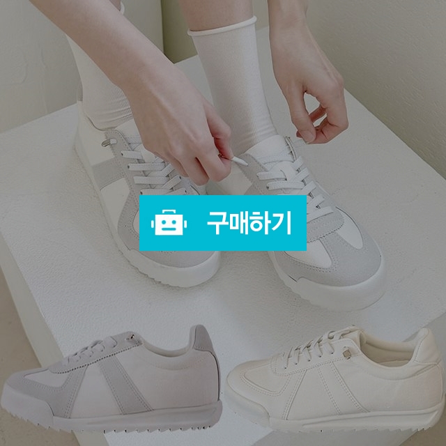 마리오탈라리코 밴딩 클래식 독일군스니커즈 3cm굽 페브릭운동화 여성스니커즈 컴포트화 / 마리오탈라리코님의 스토어 / 디비디비 / 구매하기 / 특가할인