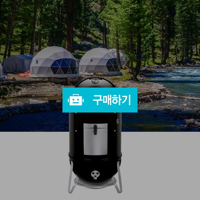 웨버 바베큐그릴 숯불 훈연기 그리들팬 47cm 캠핑화로대 가정용화롯대 훈제바비큐 차콜그릴 / 다모아아토즈님의 스토어 / 디비디비 / 구매하기 / 특가할인