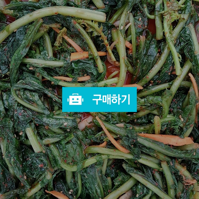 열무김치 / love1203 / 디비디비 / 구매하기 / 특가할인