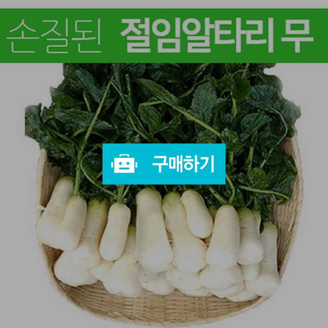 	(김치이야기) 깔끔한 절임 알타리무 총각무 2kg / 김치이야기 / 디비디비 / 구매하기 / 특가할인