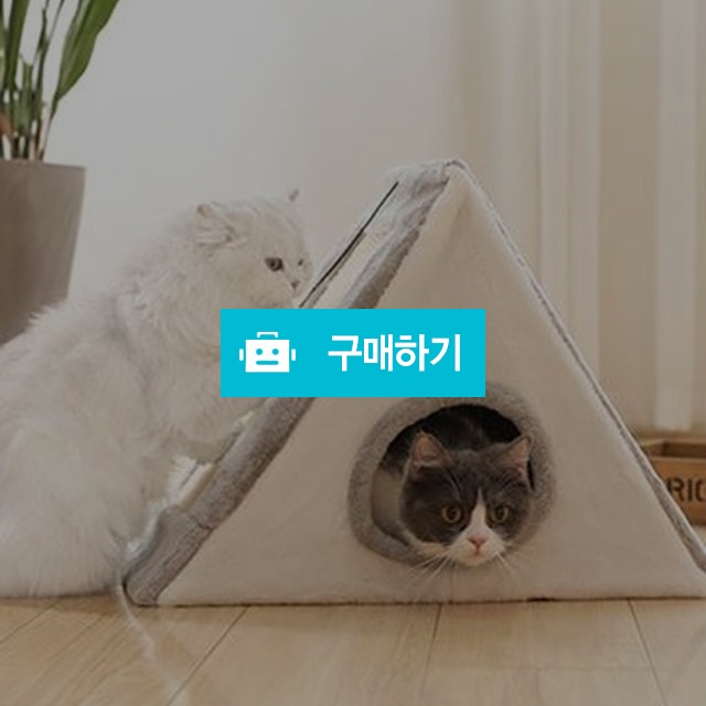 탁펫 고양이 스크래쳐 하우스 / 리빙듀오님의 스토어 / 디비디비 / 구매하기 / 특가할인
