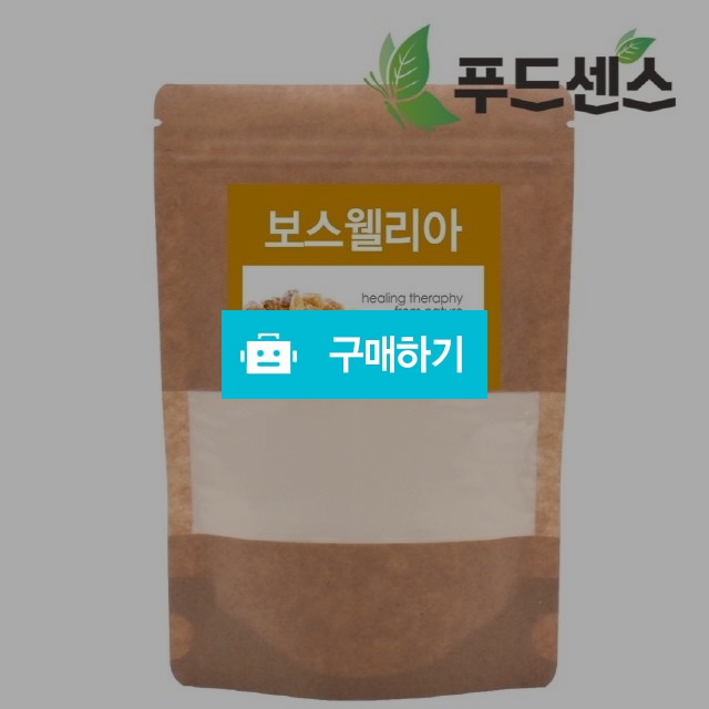 보스웰리아 추출 분말 가루 200g / 푸드센스 / 디비디비 / 구매하기 / 특가할인