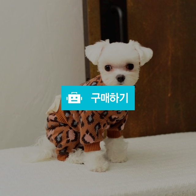 울 니트 레오파드 올인원 / 밍밈님의 스토어 / 디비디비 / 구매하기 / 특가할인