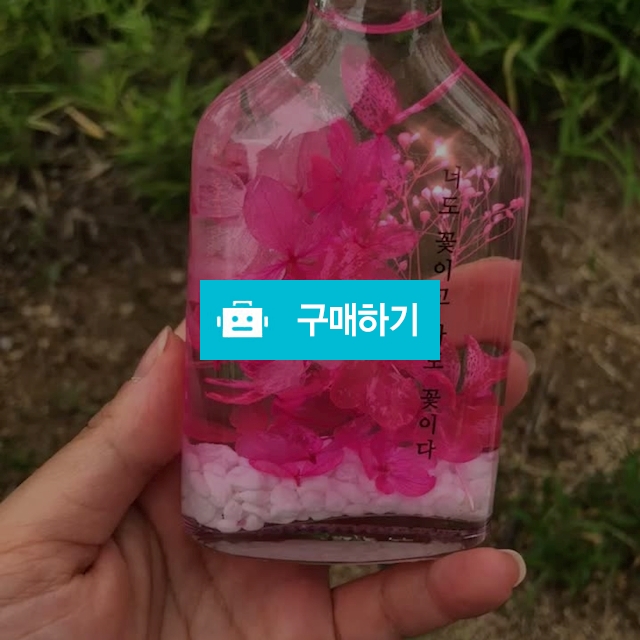 핑크수국 하바리움 / 참새가꿀꿀님의 스토어 / 디비디비 / 구매하기 / 특가할인