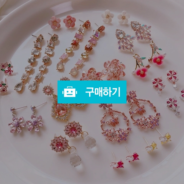 베노잇 스프링 컬렉션 봄 신상 3+1 EVENT / 베노잇 / 디비디비 / 구매하기 / 특가할인