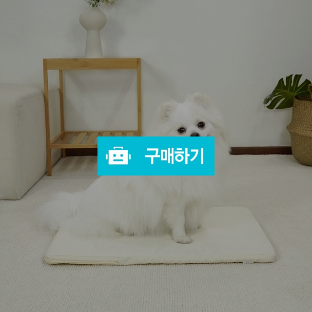 개과천선 시원한 3D 메쉬 디넬 강아지 매트 애견 여름용 쿨 방수 방석 쿨매트 / 개과천선 / 디비디비 / 구매하기 / 특가할인