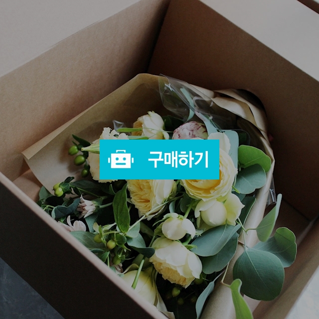 더빈스 오늘의 꽃다발 / 더빈스님의 스토어 / 디비디비 / 구매하기 / 특가할인
