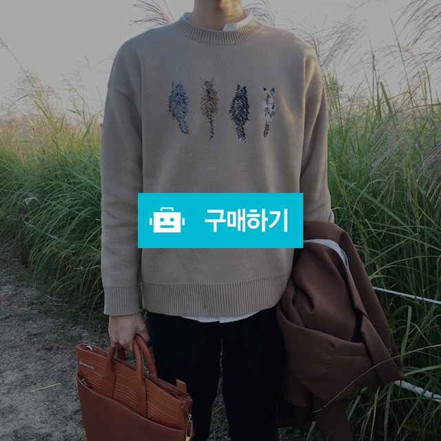 고양이 자수 니트 맨투맨 / 메데토 / 디비디비 / 구매하기 / 특가할인