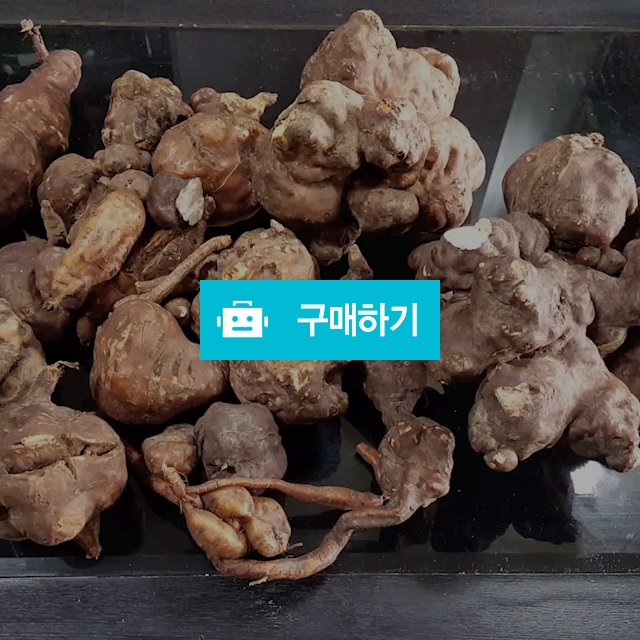 적하수오 / 현대약초팜님의 스토어 / 디비디비 / 구매하기 / 특가할인