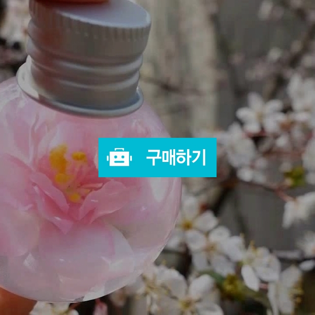벚꽃 하바리움 무드등 s사이즈 -한송이, 4송이 / 소랑호젠 아뜰리에님의 스토어 / 디비디비 / 구매하기 / 특가할인