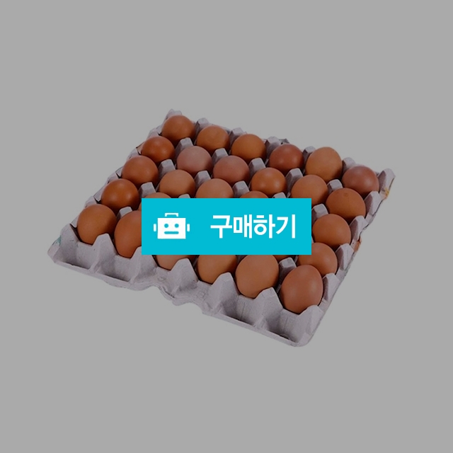 [시선] HACCP인증 쫀득쫀득한 영양간식 구운계란 30개 / 온라인대장님의 스토어 / 디비디비 / 구매하기 / 특가할인