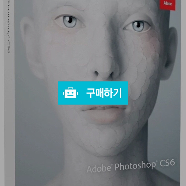 Adobe Cs6 Photoshop 상업용 영구라이센스 Mac/Win, 850,000원, 소프트웨어1위 라이브키 [디비디비]