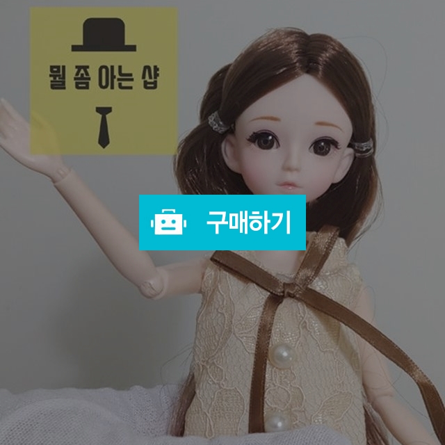 구체관절인형 / 뭘좀아는샵님의 스토어 / 디비디비 / 구매하기 / 특가할인