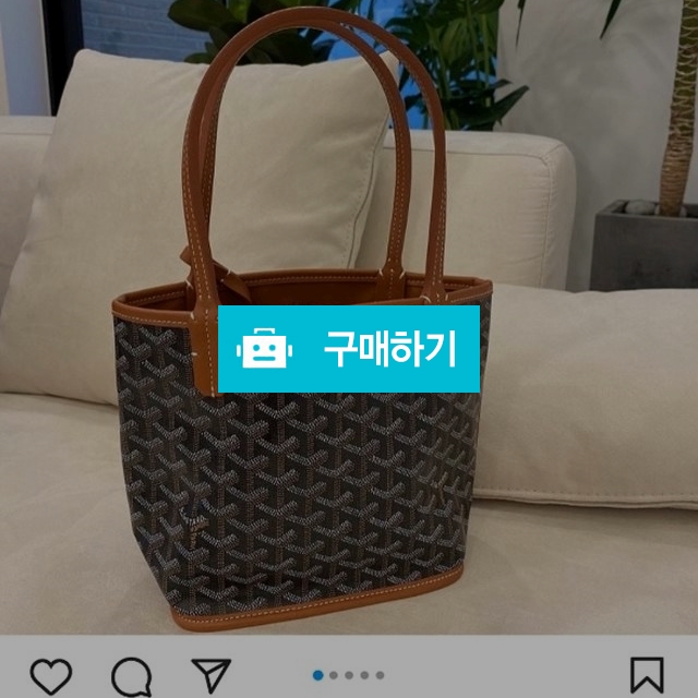 앙주 / 무드마켓 / 디비디비 / 구매하기 / 특가할인