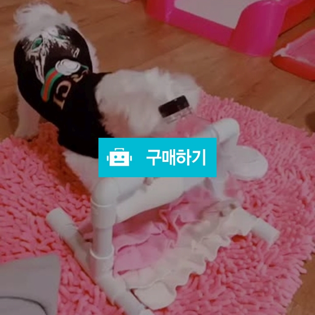 강아지 노즈워크 장난감 통도리도리^^♡~ / 멍멍닷컴님의 스토어 / 디비디비 / 구매하기 / 특가할인