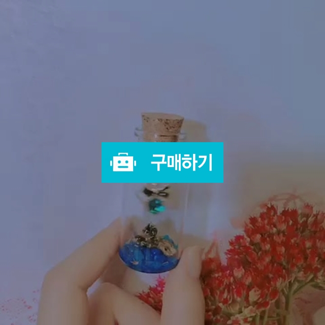 탯줄타임캡슐 디자인공병+탯줄코팅제 / 기린감성님의 스토어 / 디비디비 / 구매하기 / 특가할인