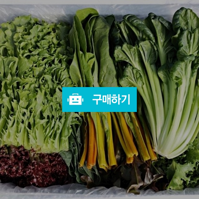 GAP인증 친환경 저탄소 유기농 모듬 샐러드채소 600g 당일수확 / 현스 / 디비디비 / 구매하기 / 특가할인