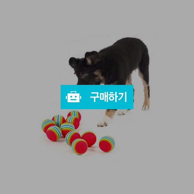 마이독 강아지 고양이 터그놀이 무지개 장난감 공 / 마이독님의 스토어 / 디비디비 / 구매하기 / 특가할인