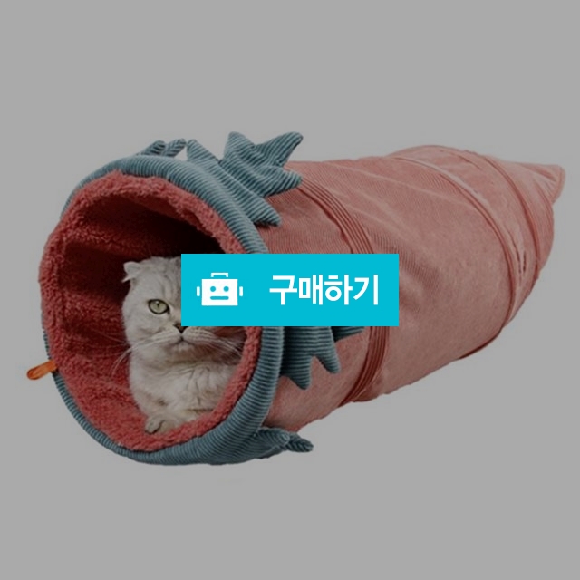 탁펫 고양이 롱 숨숨집 / 리빙듀오님의 스토어 / 디비디비 / 구매하기 / 특가할인
