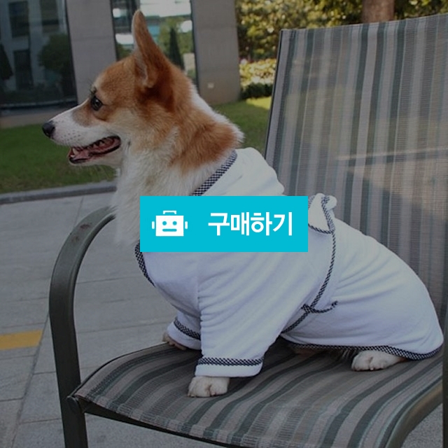 반려동물 고양이옷 애견 강아지 샤워가운 산책 외출 평상복 목욕가운 / 댕유마켓님의 스토어 / 디비디비 / 구매하기 / 특가할인