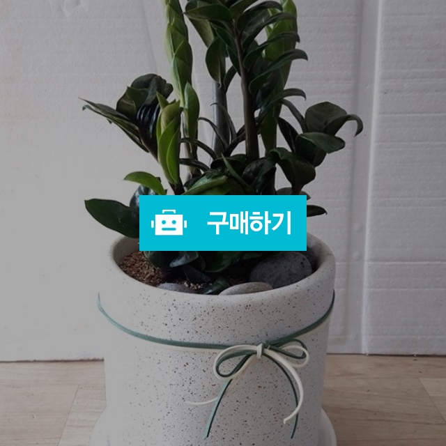보석금전수 / 키스앤플라워님의 스토어 / 디비디비 / 구매하기 / 특가할인