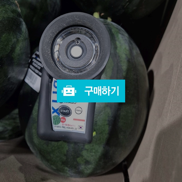 12.5  브릭스 SWT 씨없는 흑수박 / 영 프루트 Young Fruits / 디비디비 / 구매하기 / 특가할인