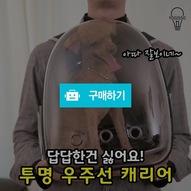 우주선캐리어 / -511511님의 스토어 / 디비디비 / 구매하기 / 특가할인