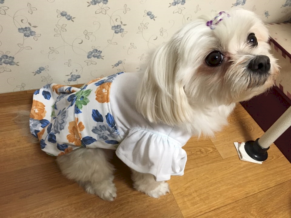 이미지