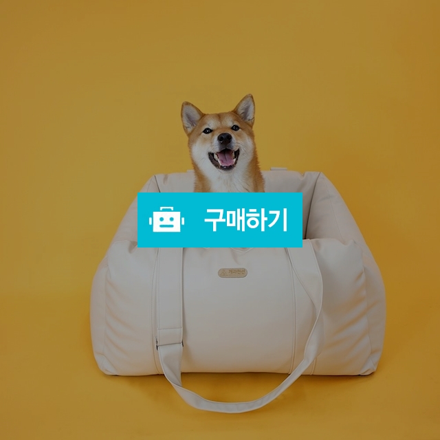 개과천선 레더 강아지 카시트 가죽 방수 드라이빙킷 / 개과천선 / 디비디비 / 구매하기 / 특가할인