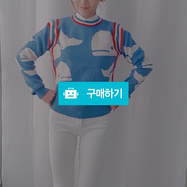 돌핀니트 / 블리님의 스토어 / 디비디비 / 구매하기 / 특가할인