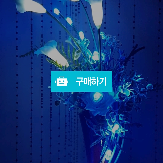 블루카라 / poeunwell님의 스토어 / 디비디비 / 구매하기 / 특가할인