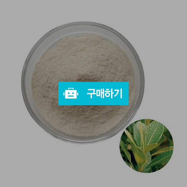 마테추출분말 100g 샘플 / 엔트레이드코리아님의 스토어 / 디비디비 / 구매하기 / 특가할인
